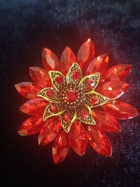 Vibrant Red Rhinestone Brooch